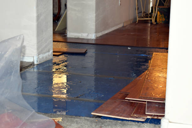Professional Water Extraction technician working in Palms, MI